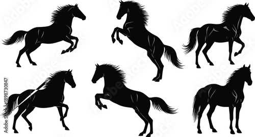 Horse silhouette icon set, rearing, trotting, and standing poses, black vector illustration, equine motion and anatomy theme, isolated on white background