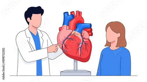 Heart consultation: A medical professional consults a patient, explaining a heart model, offering an insightful depiction of care and anatomy education.