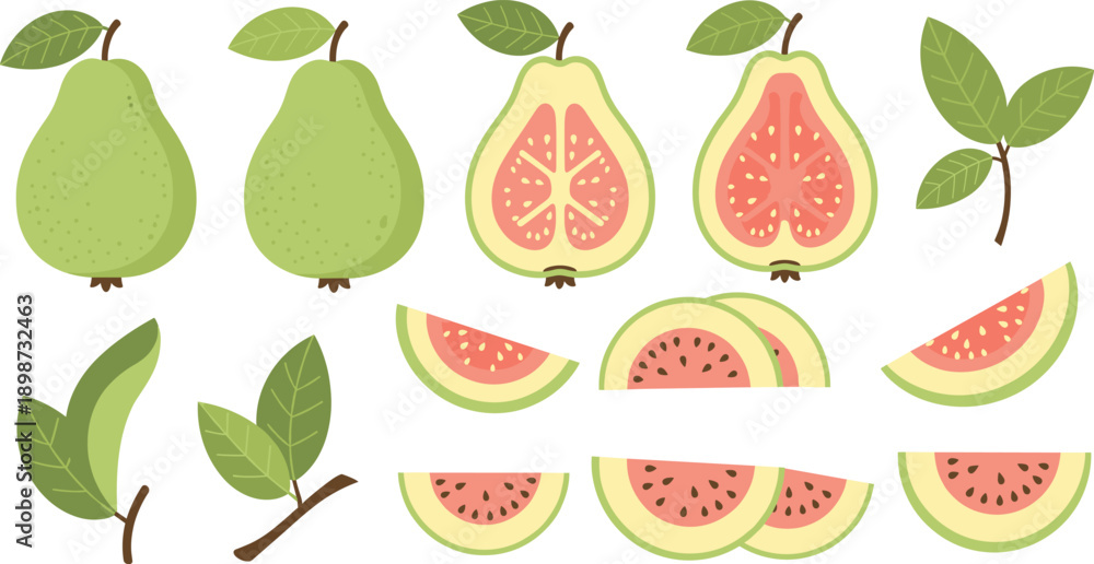 Obraz premium Guava Fruit Illustration Set Showing Whole Halved and Sliced Guava with Leaves Representing Tropical Freshness Healthy Nutrition Organic Food Concepts