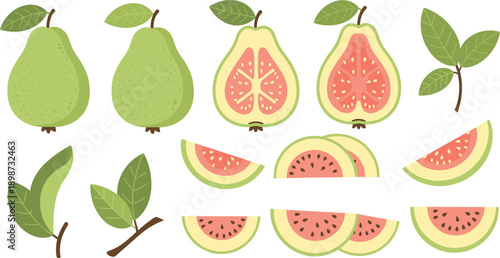 Guava Fruit Illustration Set Showing Whole Halved and Sliced Guava with Leaves Representing Tropical Freshness Healthy Nutrition Organic Food Concepts