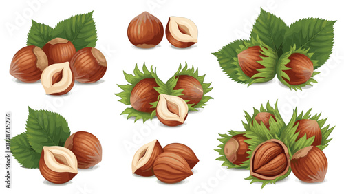 Multiple clusters and individual hazelnuts shown with their green leaves and shells in various states including whole, cracked, and halved.