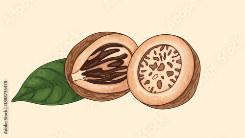 Close up illustration of a nutmeg fruit cut in half showing the brown seed and kernel on yellow background for cooking.