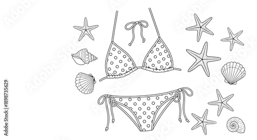 Detailed line drawing of a polka dot bikini surrounded by several starfish and various seashells for a beach or summer theme.