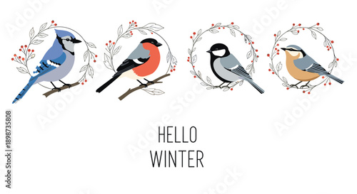 Four different birds perched on branches inside decorative berry wreaths above the message hello winter for the season.