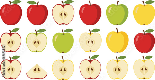 Apple Fruit Illustration Set Featuring Red Green and Yellow Apples Whole Halved and Sliced with Seeds for Fresh Nutrition Organic Food and Market Design Concepts