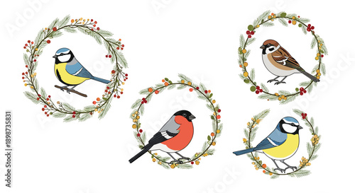 Festive birds including a bullfinch, blue tit, and sparrow are perched inside colorful winter wreaths with pine needles and berries.