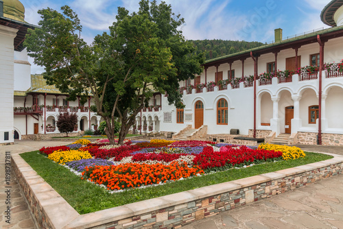 Colorful flower at the Monastery Agapia in Romania