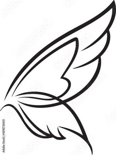 A pair of wings in flight, soaring through the air freely, seen from a side view