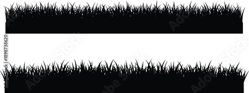 Black silhouette of grass blades on white background