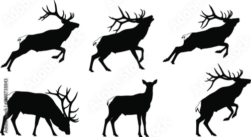 Six black deer silhouettes in various poses on white background stag