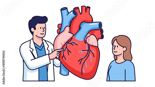 Medical Consultation on the Human Heart: A doctor provides an explanation of the heart's anatomy to a patient. Demonstrating clarity in medical context.