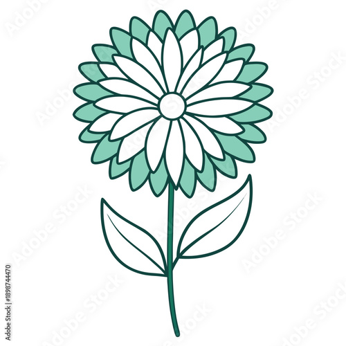 aster line art on white background