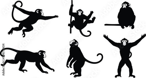 Six black monkey silhouettes in various playful poses white animal
