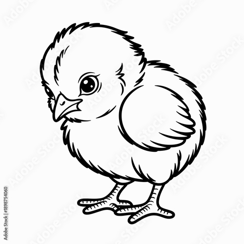 A charming sketch of a newly hatched chick standing on a plain background isolated on white background, Vector, illustration