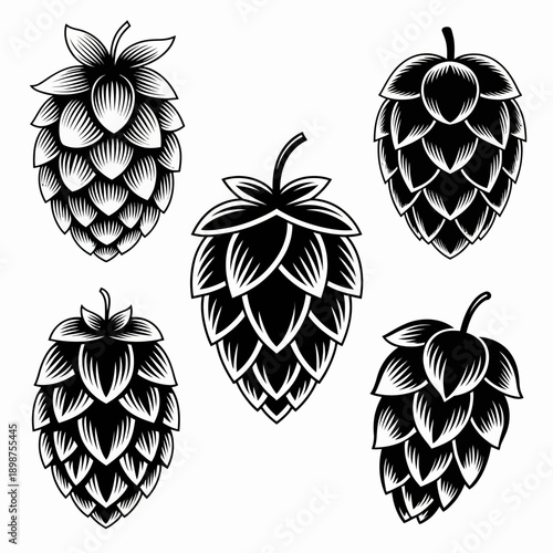 Hops icon set, 5 elements. Black and white line art.