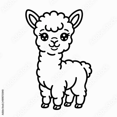 A cute and stylized drawing of a small alpaca sitting and looking forward isolated on white background, Vector, illustration