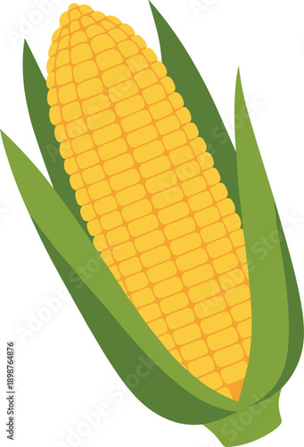 Fresh Sweet Corn on the Cob Illustration Featuring Yellow Kernels and Green Husks in a Flat Vector Graphic Style,