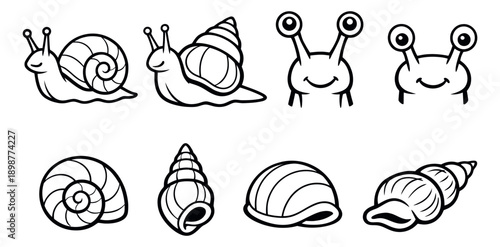 Hand drawn line art snail and shell set featuring different types of snails and various spiral shells for nature and animal concepts