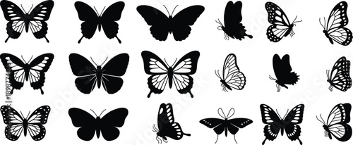 Black and white butterfly silhouettes on white background butterflies