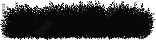 Black silhouette of dense foliage on white background leaves 1