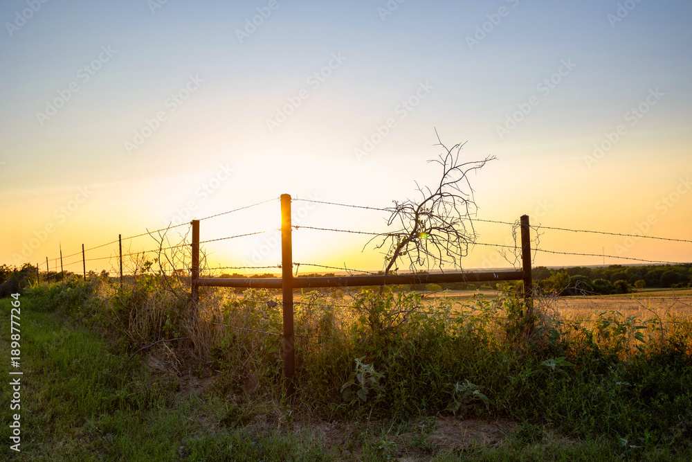 Obraz premium Ranch land wire fence sunset