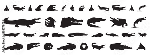 black crocodile silhouettes evoking prehistoric fossil shapes for paleo art and museum displays, exaggerated jaws, armored backs and dramatic postures for concept art, exhibits and reconstruction