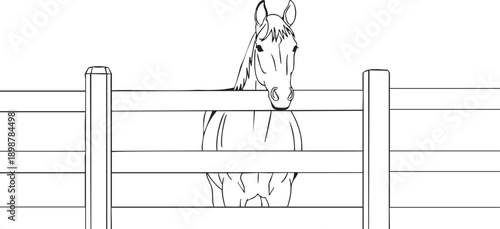 A horse stands behind a wooden fence in a serene landscape viewed from the front