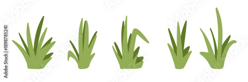 Green grass set. Simple abstract flat cartoon vector illustration. Minimalistic garden plants isolated on white background. Hand drawn element, foliage art for stickers, print, web