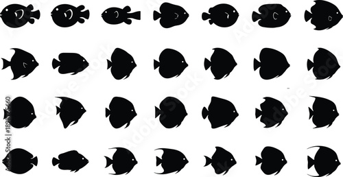 Black fish silhouettes on white background for design