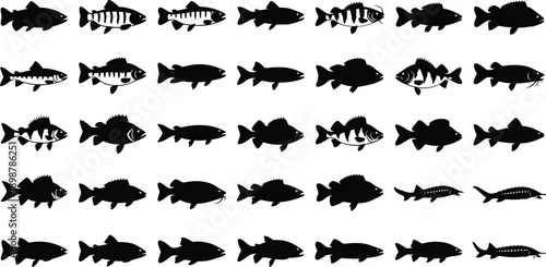 Multiple black fish silhouettes swimming in different directions on white background