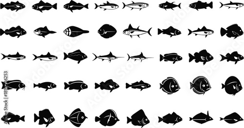 Collection of various fish silhouettes in different shapes and sizes