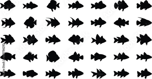 Multiple black fish silhouettes swimming in different directions on white background