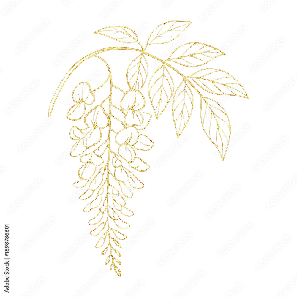 Obraz premium PNG Elegant golden floral illustration