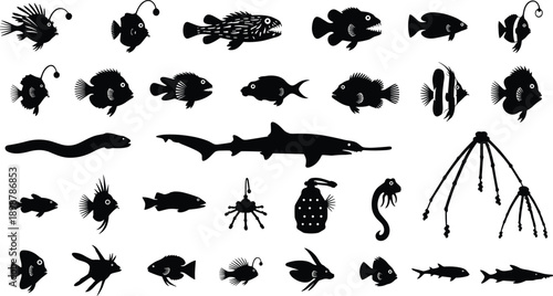 Diverse ocean creatures in black silhouette on white background