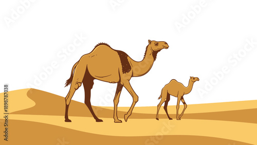 A commercial vector silhouette of a camel and calf, traversing the Arabian desert dunes
