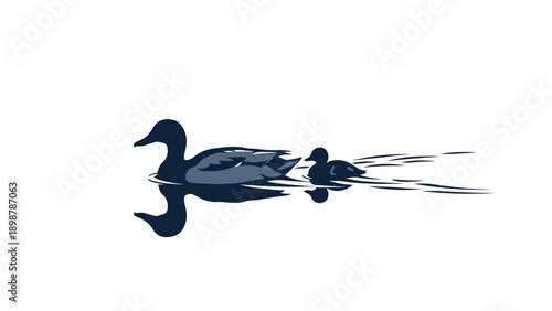 A commercial vector silhouette of a duck and duckling, swimming in an English pond