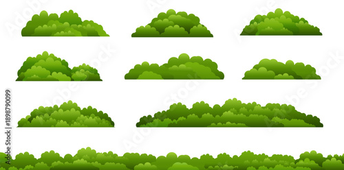 Green Buches Isolated White Background