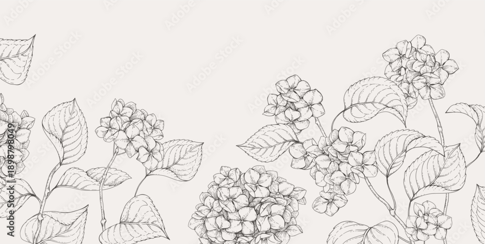 Fototapeta premium Blooming hydrangea. Spring background with flowers and brunch. Detailed botanic floral collection for Valentines day invitation, wallpaper