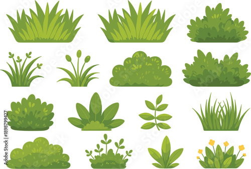Green bushes and grass plants collection with various shrubs and garden greenery elements for outdoor landscape design and nature backgrounds.