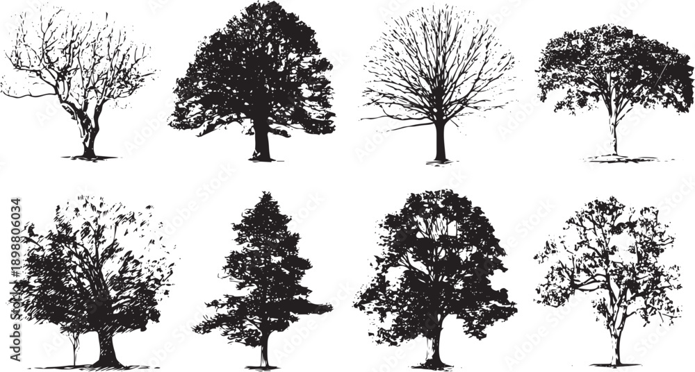 Fototapeta premium Four seasons tree growth cycle illustration set minimalist black white line art nature botanical vector