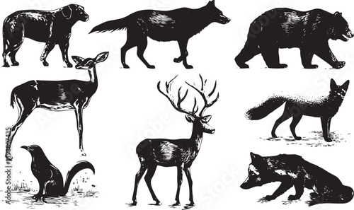 Set of black and white wildlife animals vector illustration isolated on beige background for nature design

