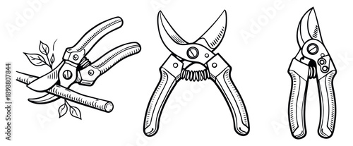 Hand drawn line art pruning shears set featuring various secateurs including one cutting a branch for gardening