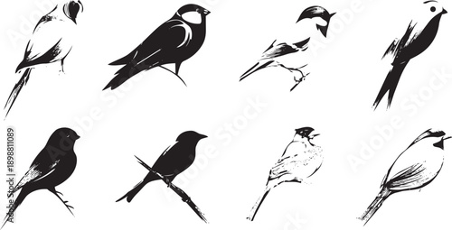 Black and white bird illustrations set perched flying isolated vector collection nature wildlife animal art design
