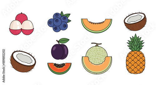 Illustrated assortment of fresh tropical fruits