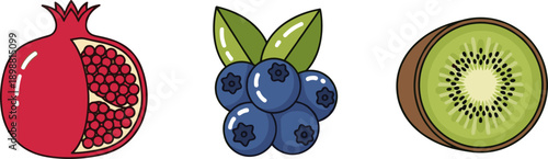 Pomegranate, blueberries, and kiwi slice illustrated in a simple, clean vector art style