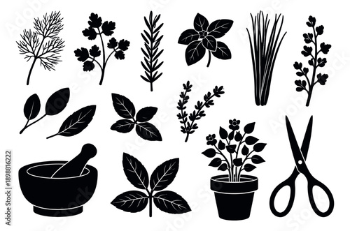 Silhouette culinary herb set featuring various aromatic plants, mortar and pestle, and scissors for cooking and gardening