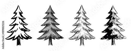 Four hand-drawn evergreen trees are depicted in various black and white sketch styles, showcasing different artistic rendering techniques with distinct line work and shading