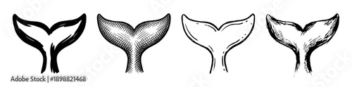 Set of four whale tail illustrations hand-drawn in a black and white sketch style, featuring various artistic techniques like solid ink, cross-hatching, and simple line art