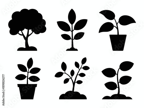 Six distinct black and white illustrations of various plants and trees isolated on white background, Vector, illustration