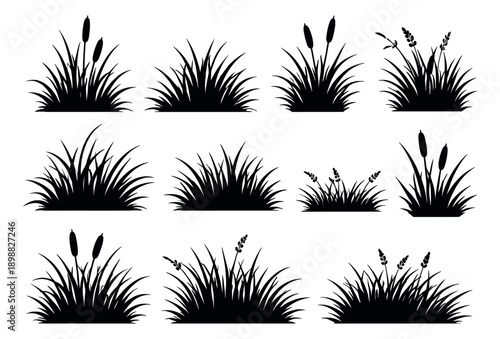 Silhouette grass and reed set featuring various natural clumps with cattails and foliage for landscape and botanical designs